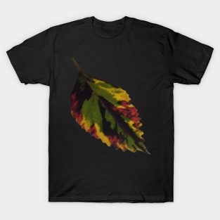 vintage colorful floral artwork, antique leaves art floral T-Shirt